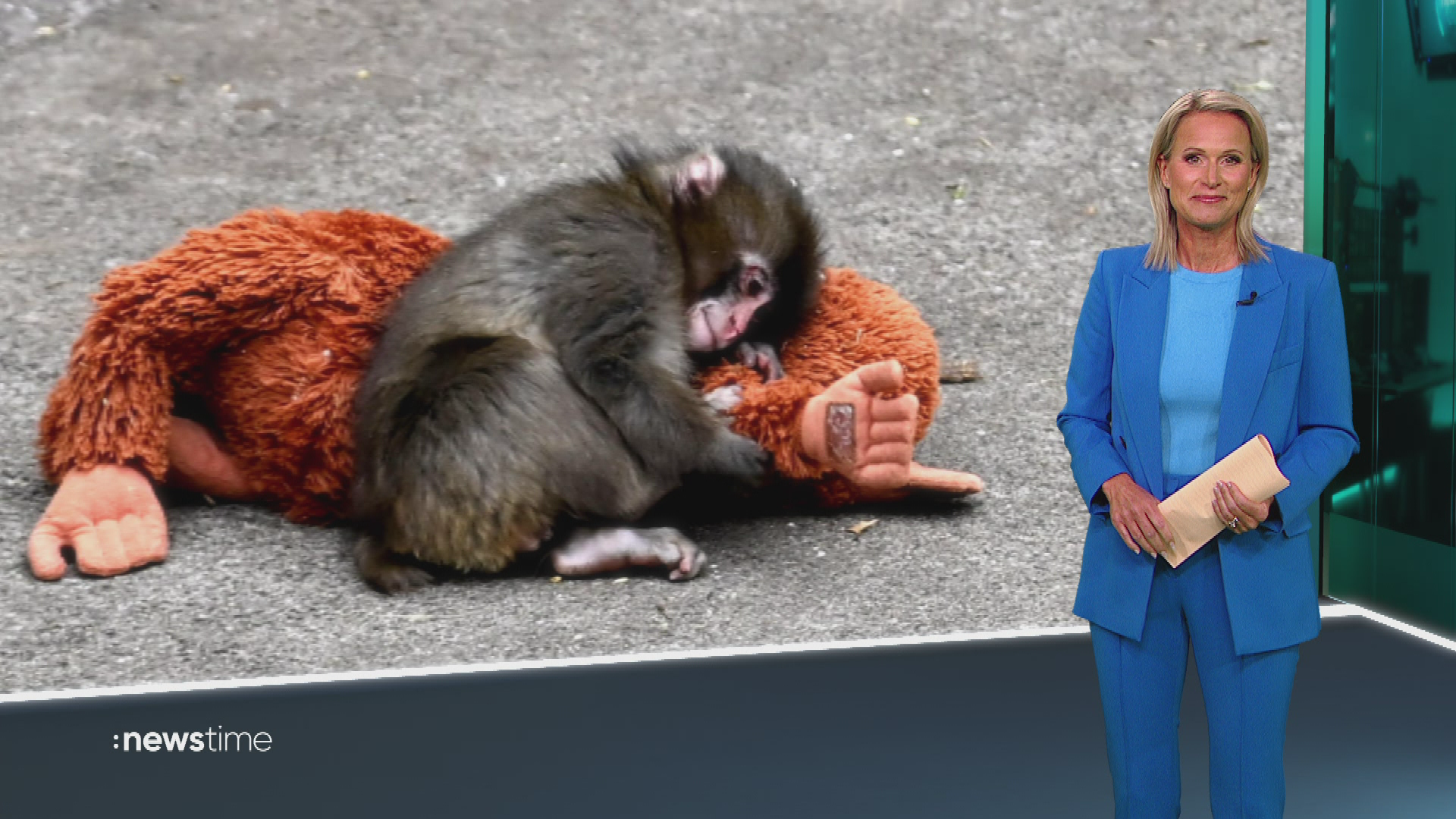 :newstime vom 22. Februar 2026 | 19:55