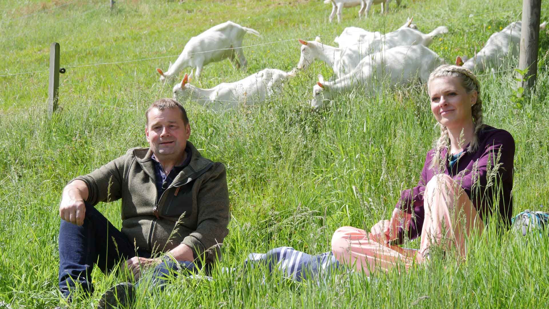 Neugierige Vierbeiner in der Region Willisau 