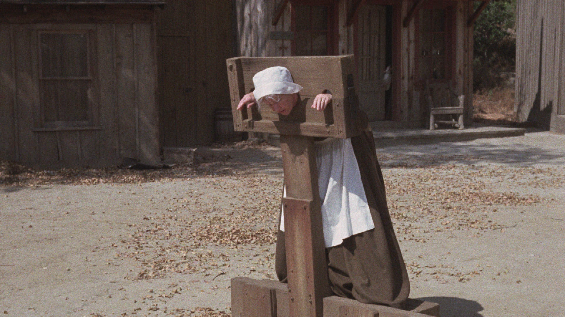 Der verzauberte Bettwärmer (2)