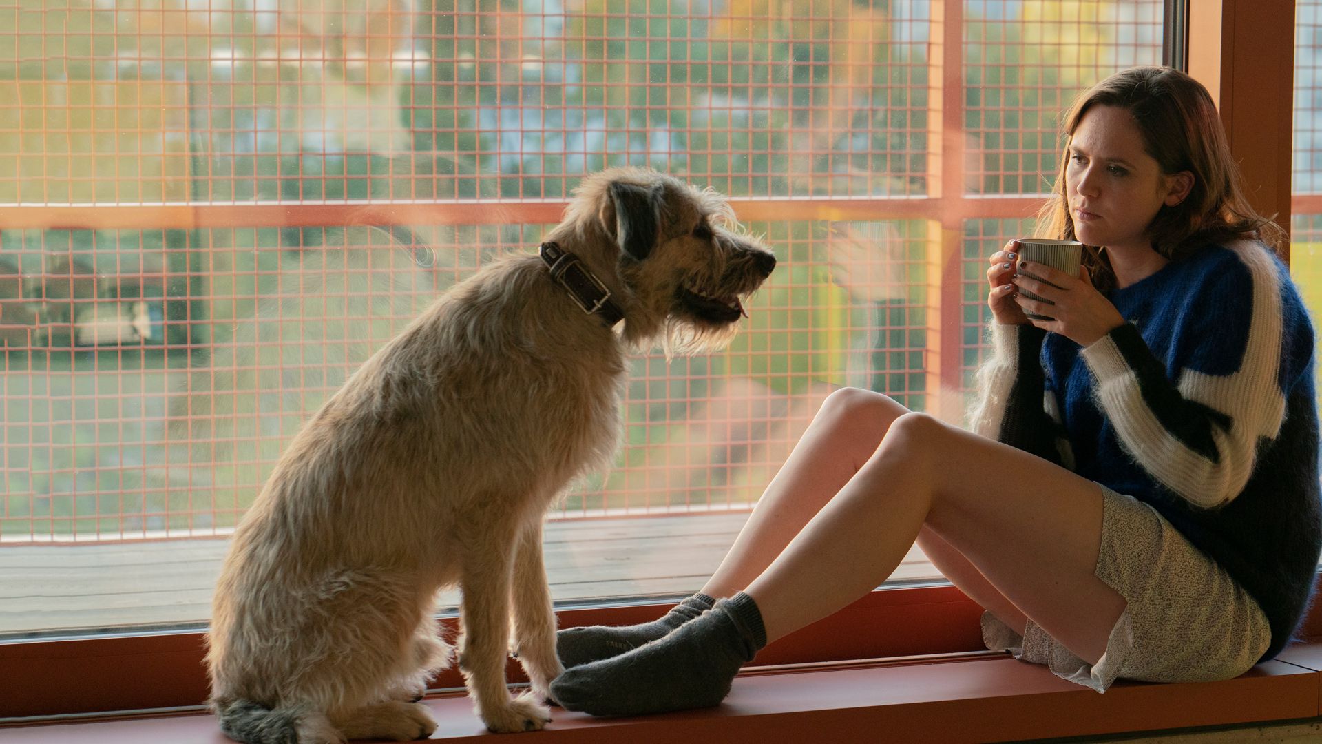 Wuff - Folge dem Hund