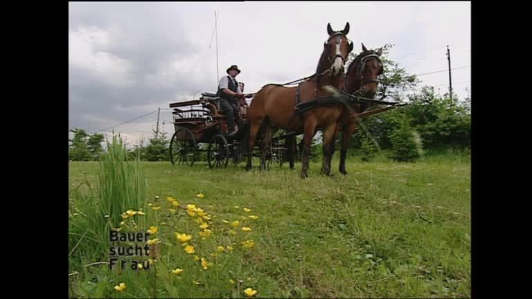 Bauer sucht Frau - Staffel 6 Folge 1 - Die Vorstellung der Bauern und Bäuerinnen - Teil 1