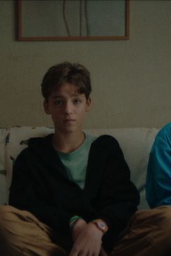 Erwartet nicht zu viel