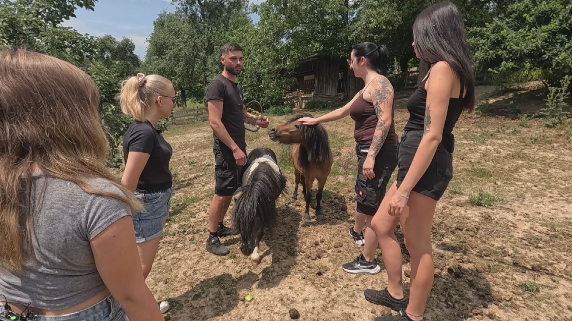 Die ersten Entscheidungen