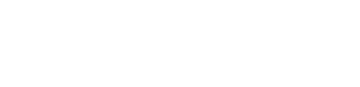 Der Kandidat