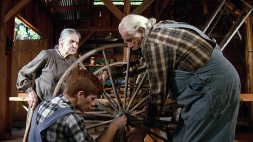 Die Waltons Die Waltons Folge 11: Der Ponywagen