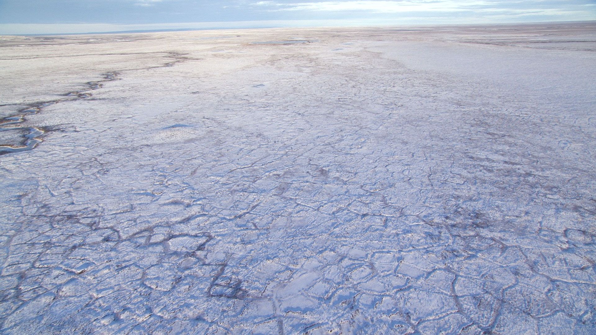 Falsches Geld für die Krone