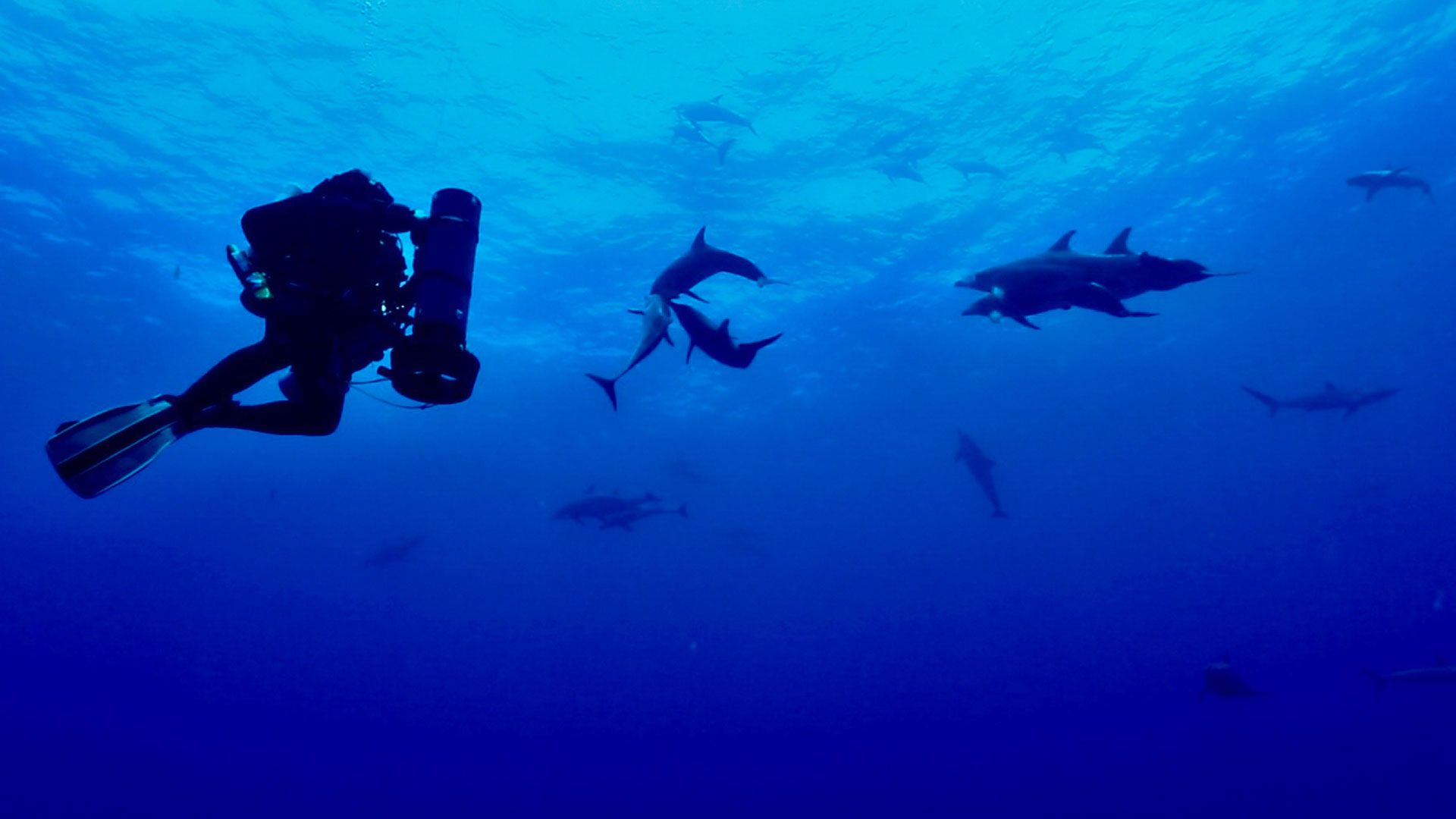 Der Tod kommt von unten