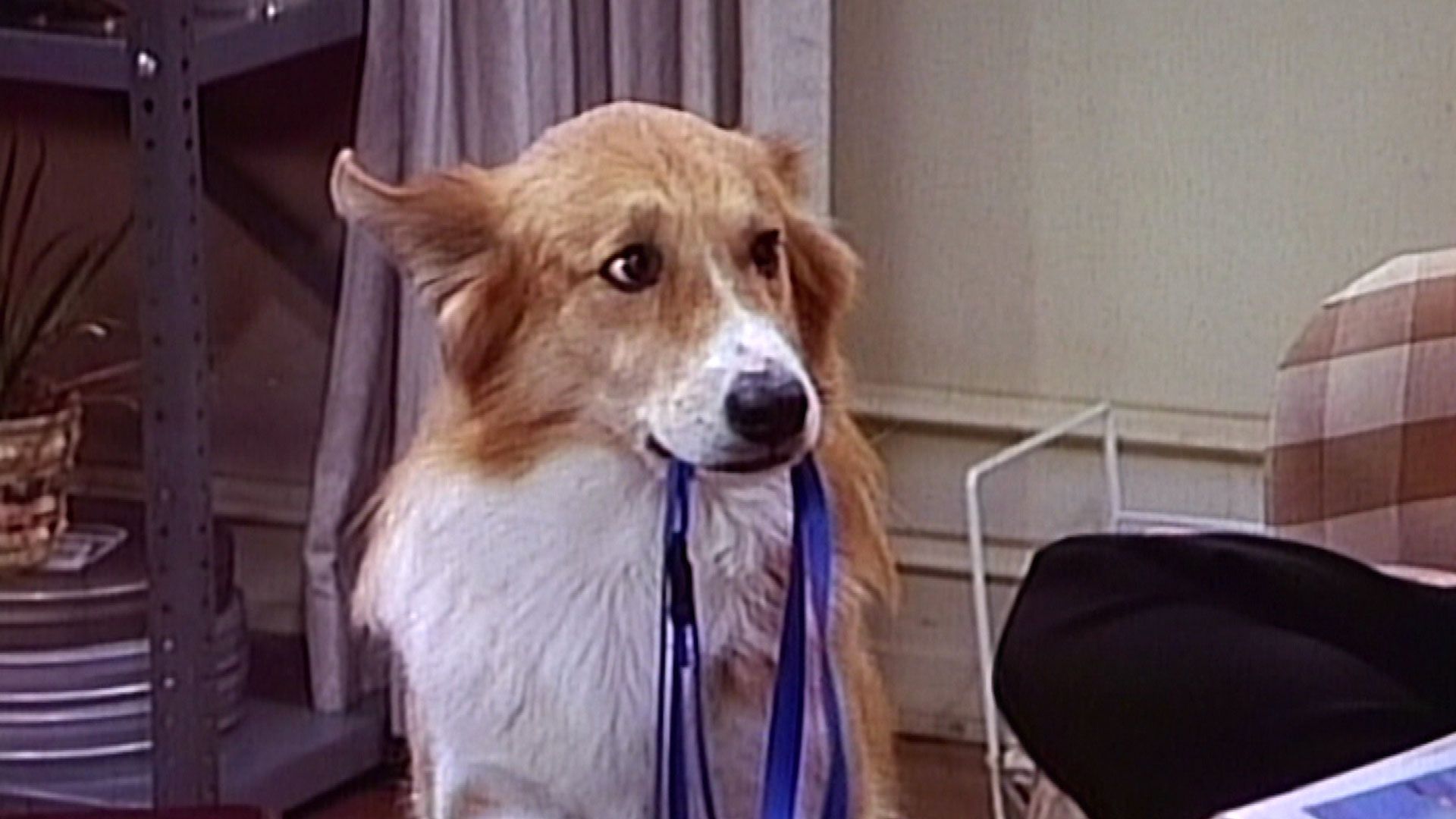 Zweimal Paradies und zurück