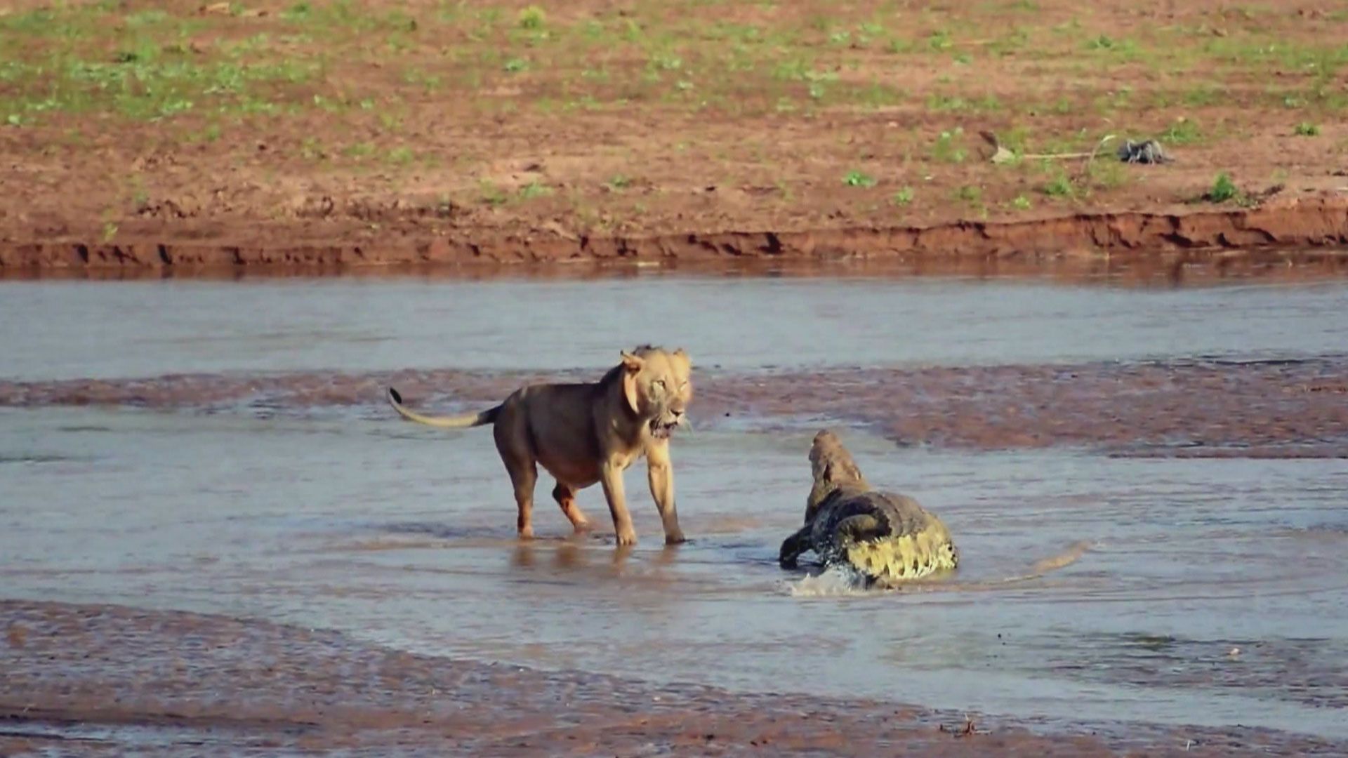 Bestialische Mörder