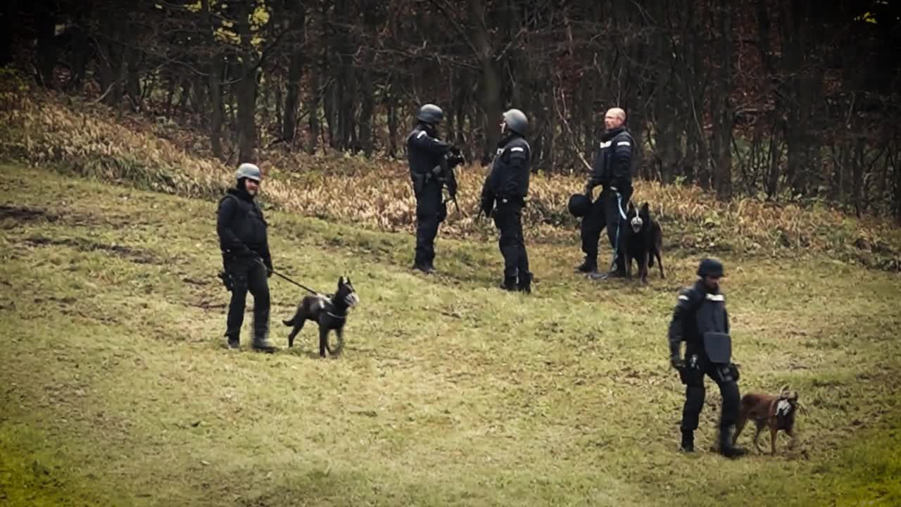 Auf der Flucht – Österreichs meistgesuchte Verbrecher