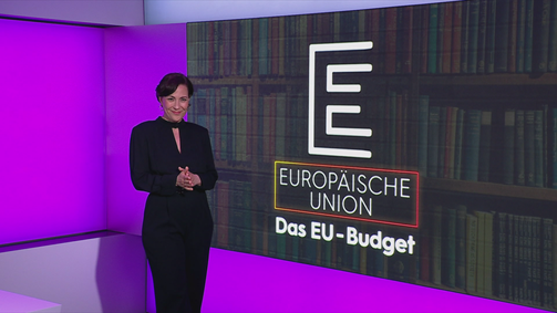 Das große Ganze Das große Ganze - Staffel 1 Folge 15: E - EU Budget