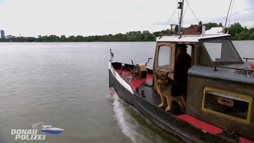 Donau Polizei  Donau Polizei - Staffel 1  Folge 4: Staffel 01 Folge 04 - Donau Polizei
