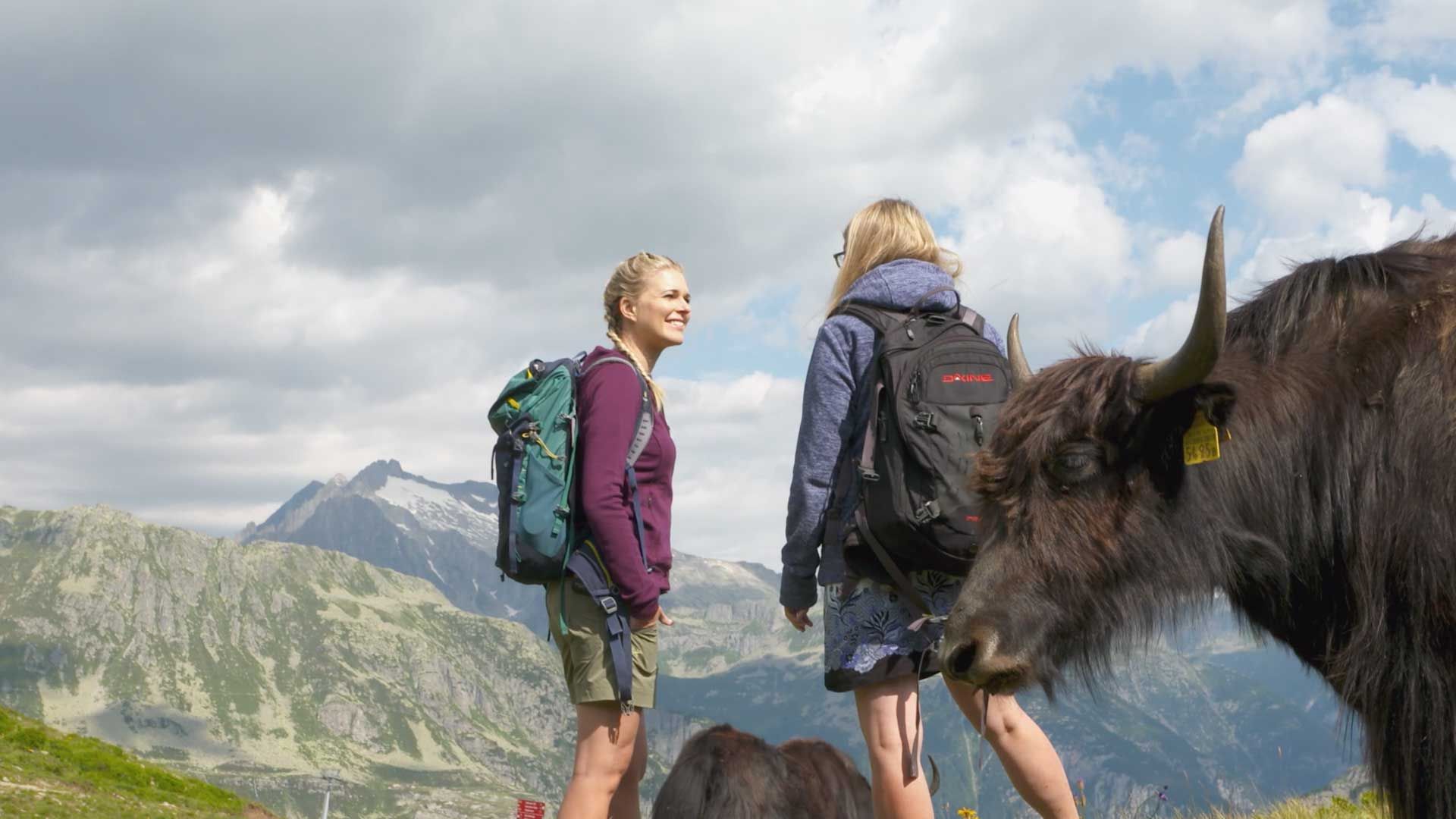 Steile Berge und wilde Bäche im Kanton Uri