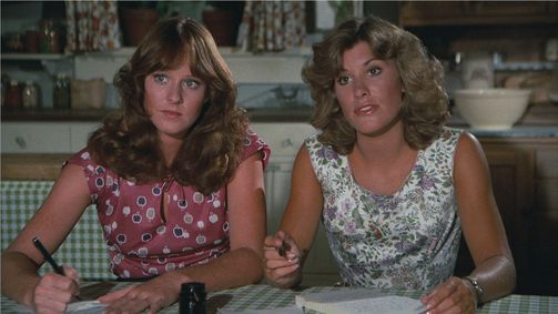 Die Waltons Die Waltons Folge 2: Ein echter Freund (1)
