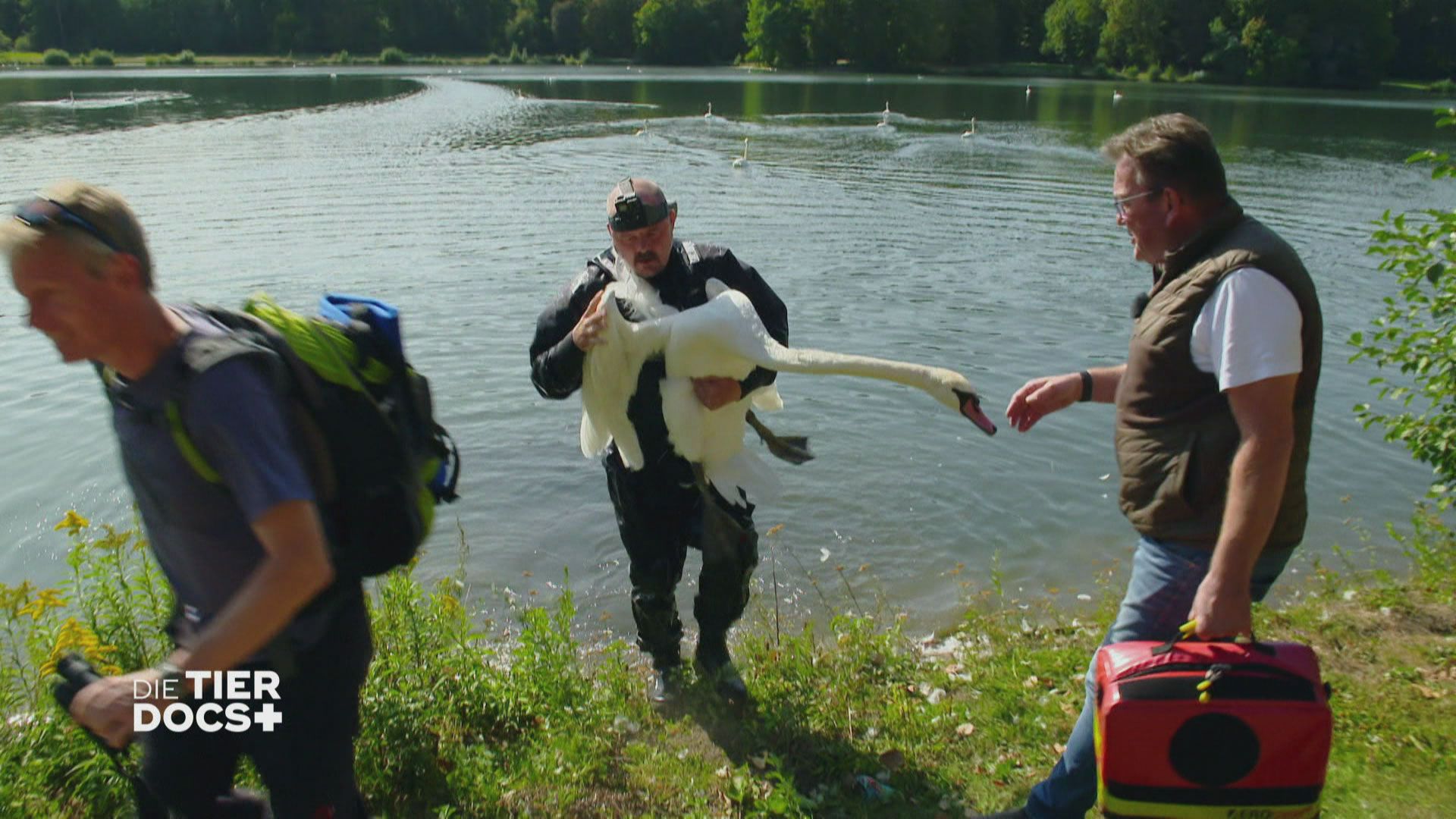 Notfalleinsatz für Doc Dreesen