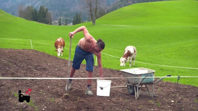 Bauer sucht Frau - Staffel 18 Vorstellungsfolge 1