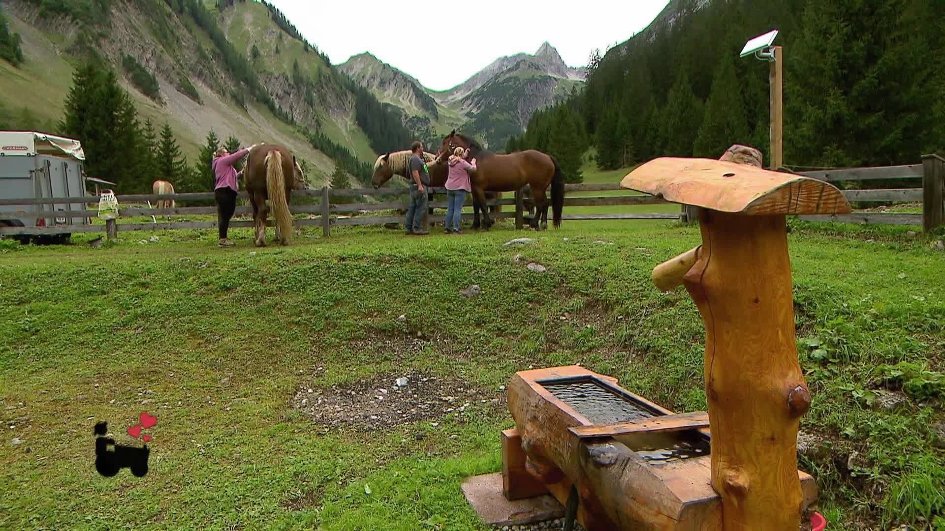 Bauer sucht Frau - Staffel 18 Folge 14 - Die Hofwochen