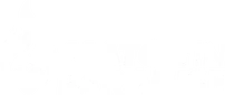 Match in Paradise Logo