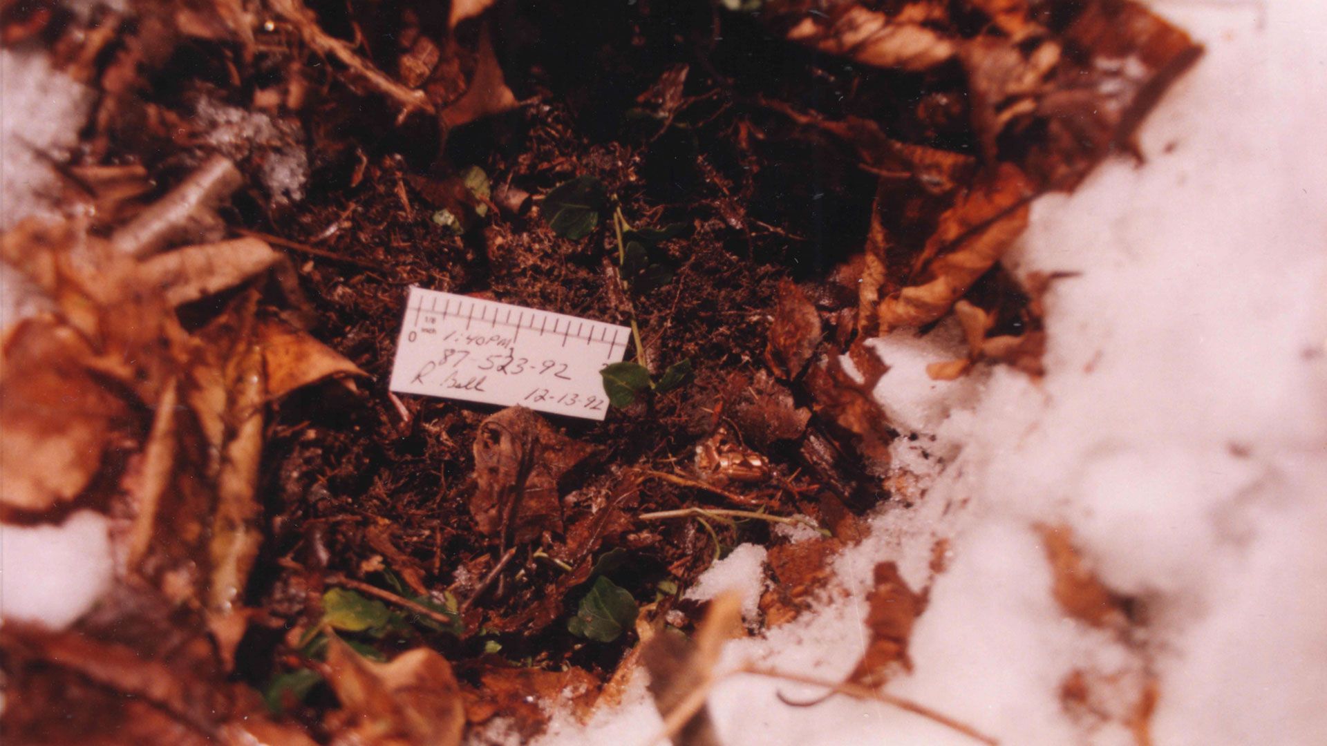 Jagdsaison - Mordsaison