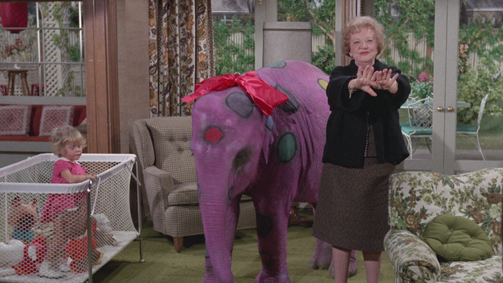 Verliebt in eine Hexe Verliebt in eine Hexe Folge 15: Tante Clara und der Elefant