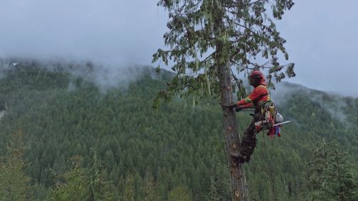 Timber Titans - Kanadas härteste Holzfäller Timber Titans - Kanadas härteste Holzfäller Folge 6: Totales Schneechaos