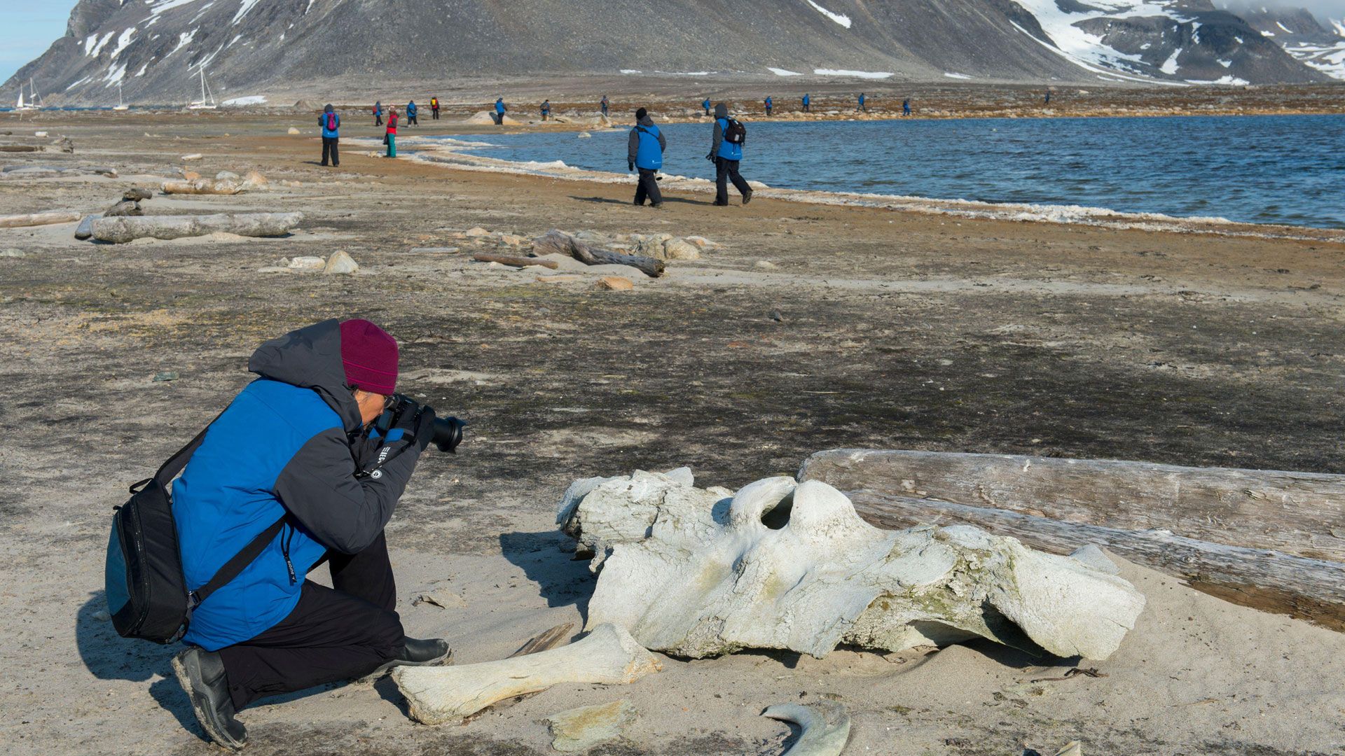 Tragödie auf dem Mount Cook