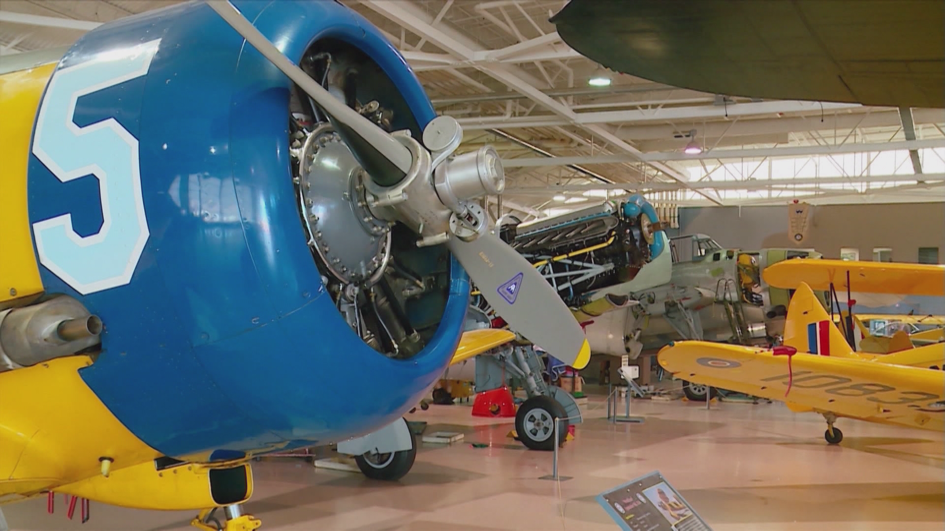 Beeindruckender Auftritt