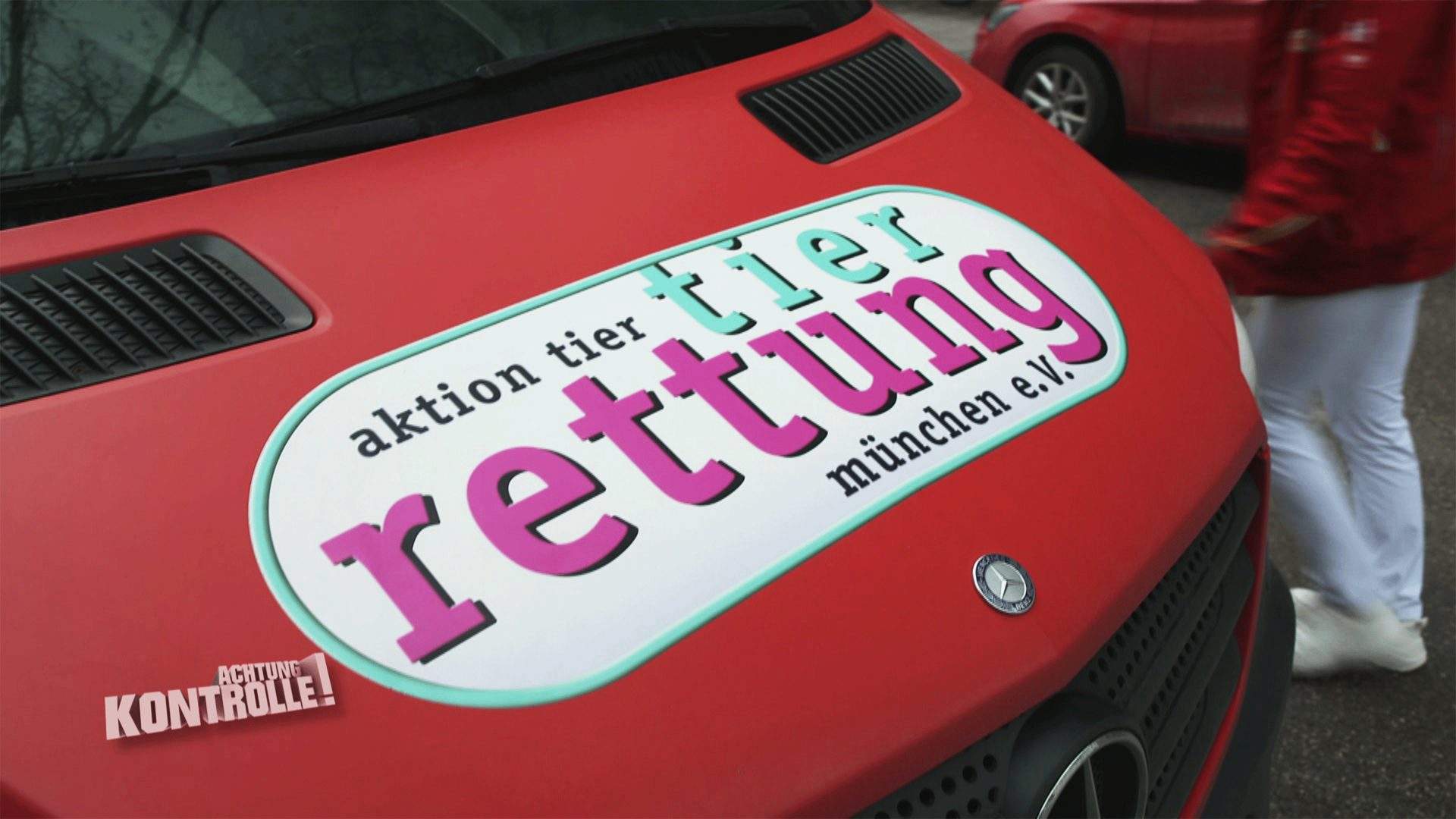 Kaninchen frisst nicht mehr – Tierrettung München