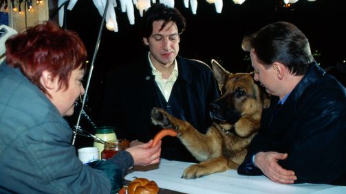 Kommissar Rex Staffel 3 Folge 3: Stadt in Angst