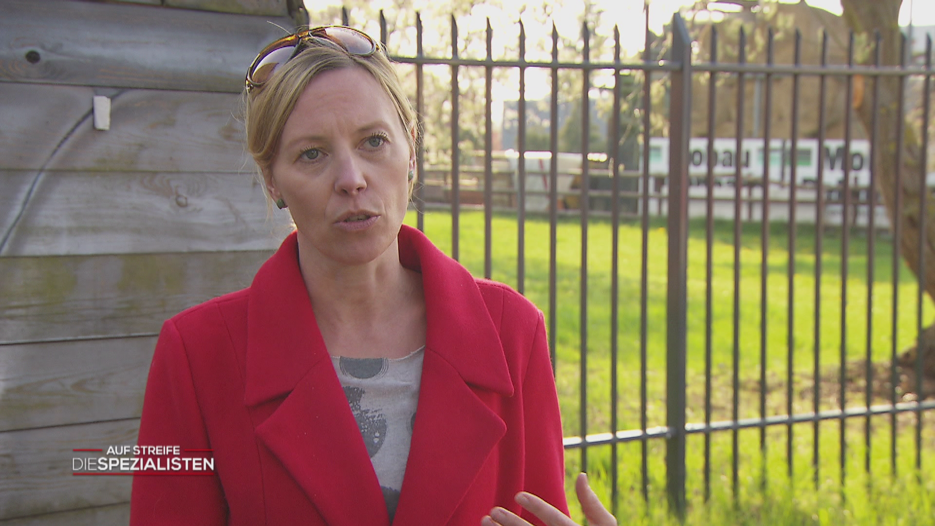 Freundschaft unter Beschuss