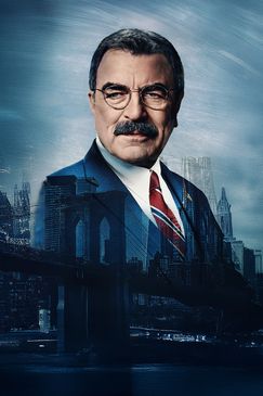 Blue Bloods - Crime Scene New York