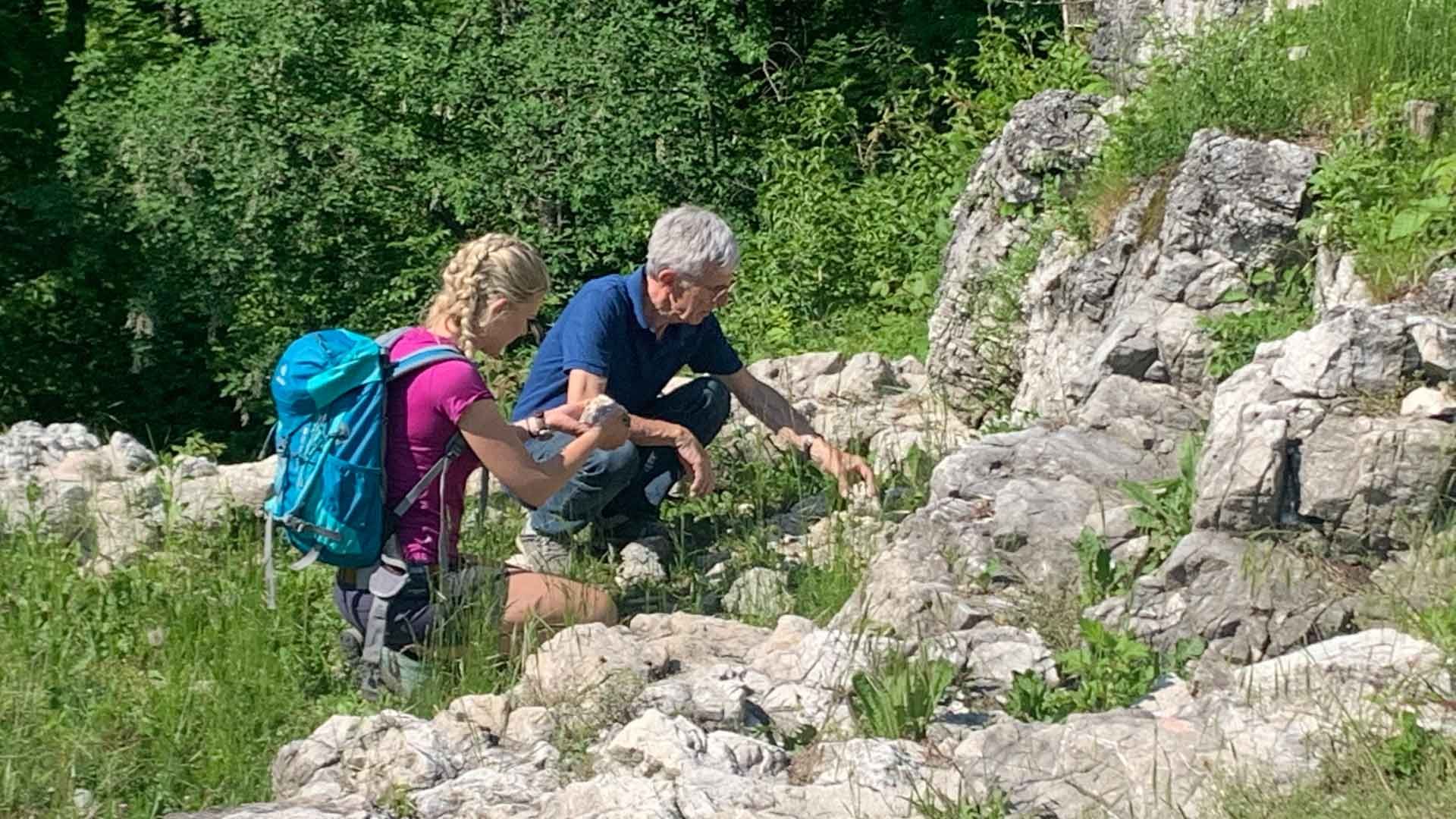 Wildpferde und ein Archäologe im Mendrisiotto 