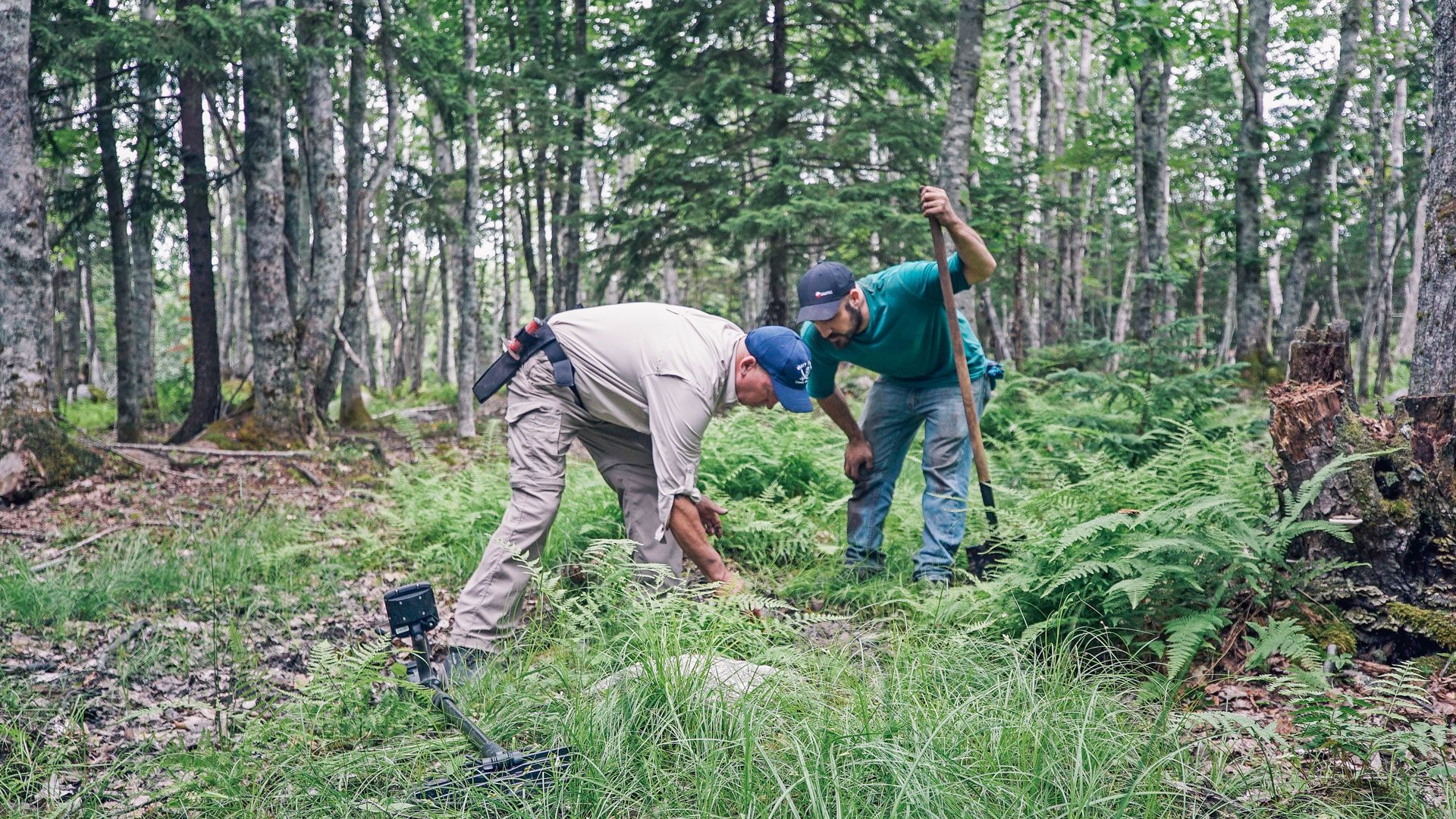 Silberstreif am Horizont