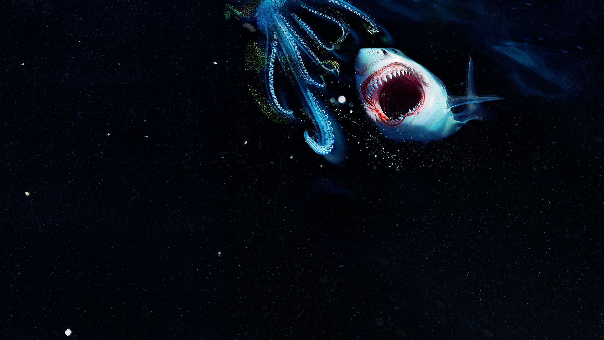 Weißer Hai vs. Riesenkalmar