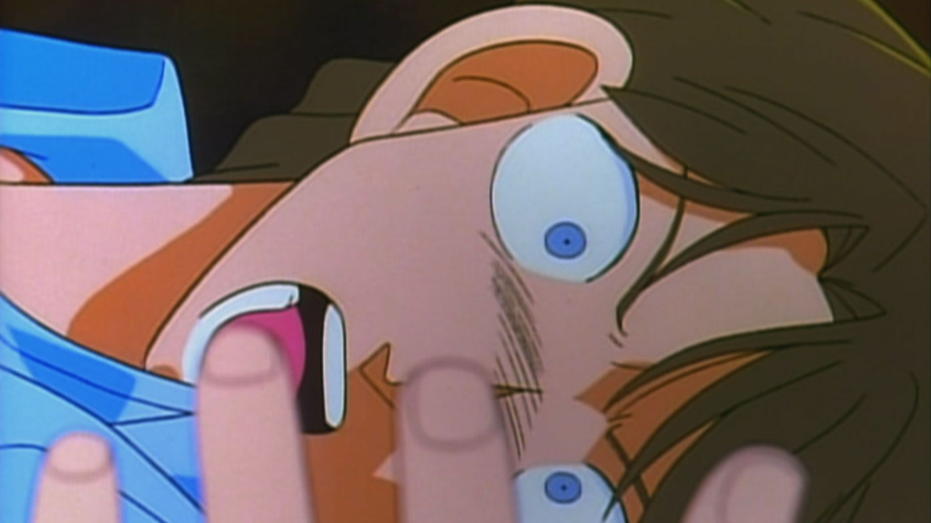 Der geheimnisvolle Löwenhund