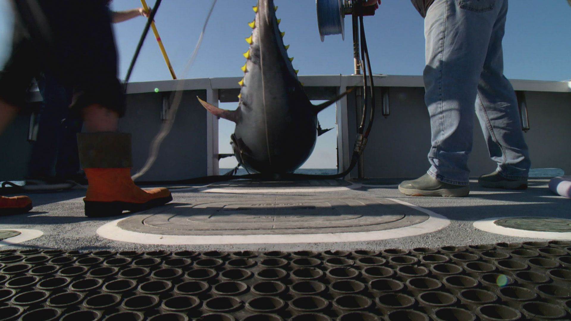 Invasion der Yankees