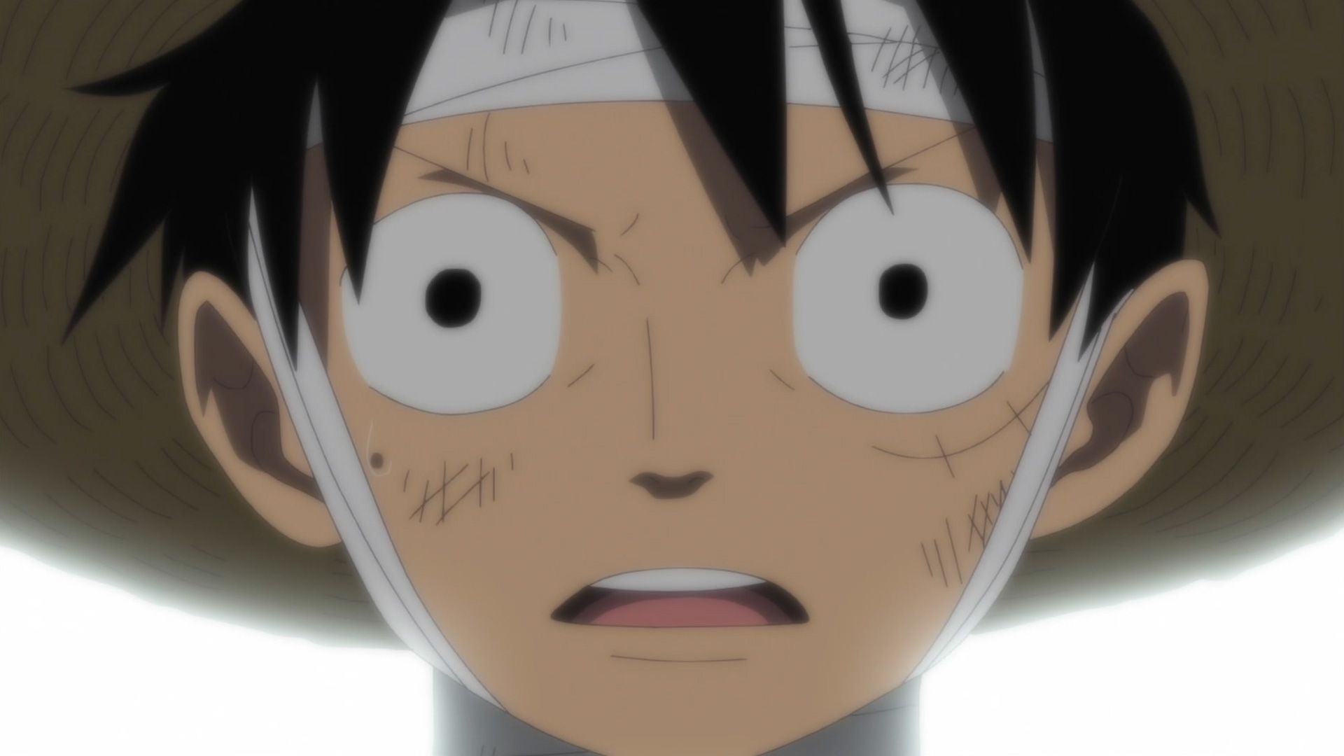 Wiedersehen mit Raleigh, dem dunklen König. Zeit für Ruffys Entscheidung!