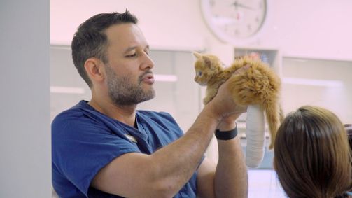 Australiens Tierrettung - Einsatz am Bondi Beach Australiens Tierrettung - Einsatz am Bondi Beach Folge 2: Eine neue Pfote