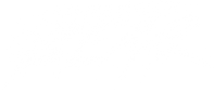 Cocaine Bear
