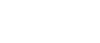 Cocaine Bear