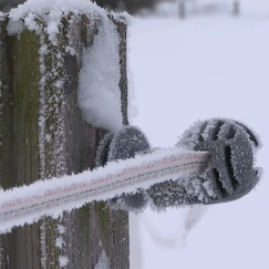Kältewelle erreicht Höhepunkt: Gefährliches Winterwetter