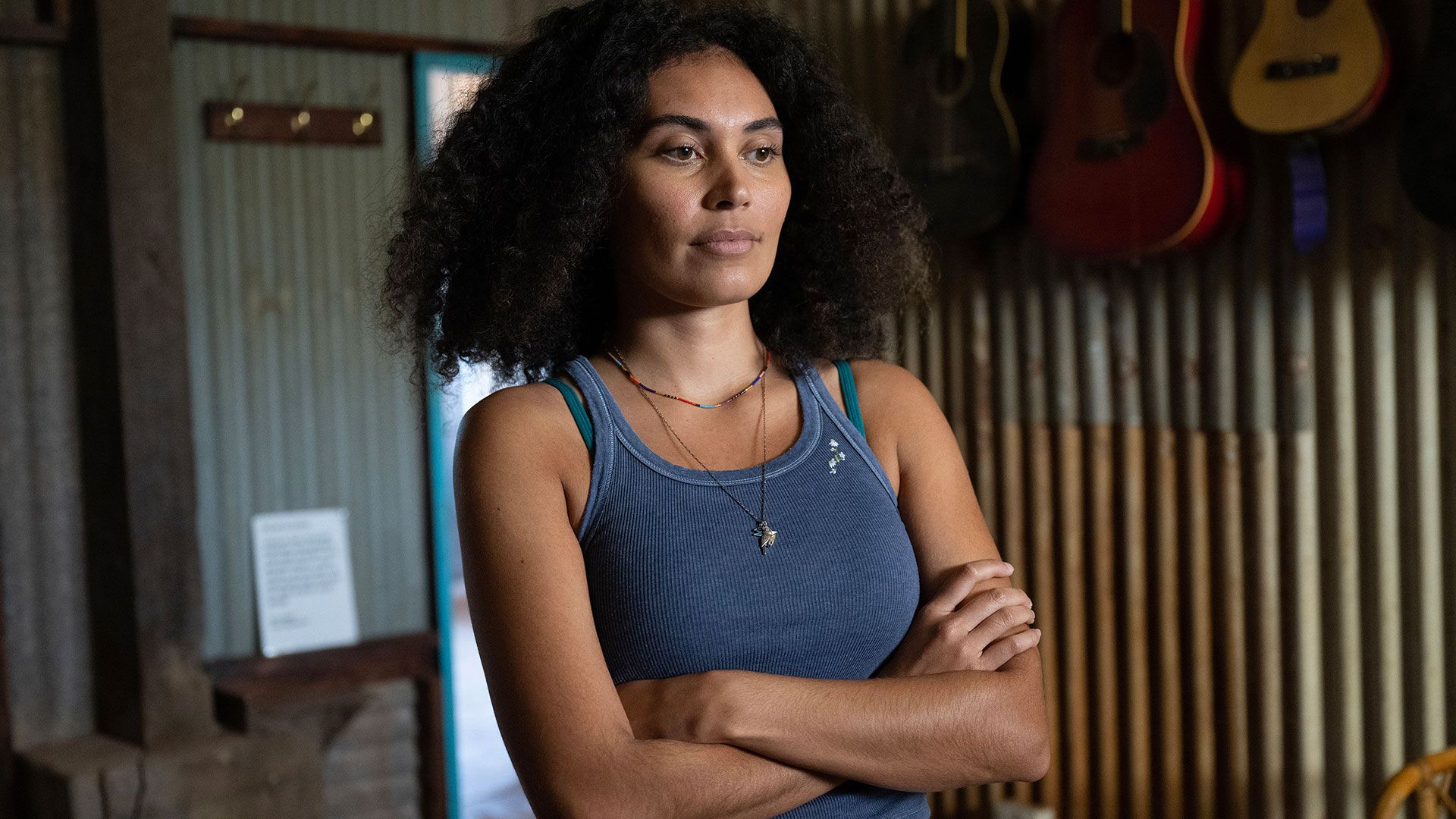 Sweet 'N' Sour Dingo