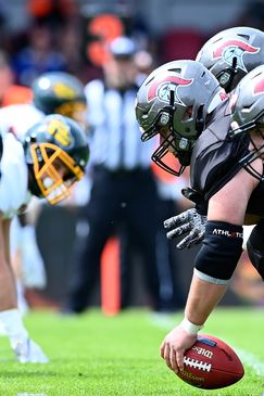 ELF: The Road to Glory