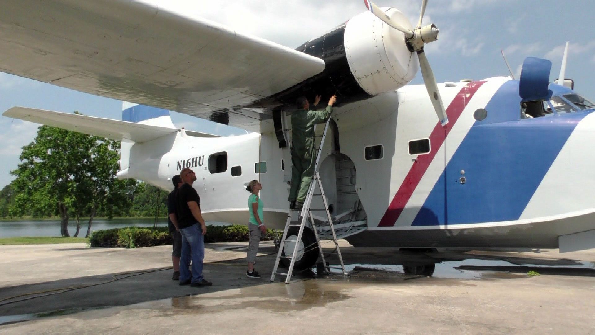 Schräger Wasservogel