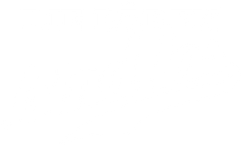 Die Bären sind los