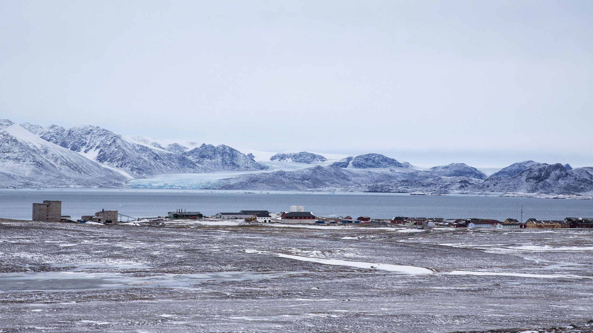 Der Mann mit den Schafszähnen