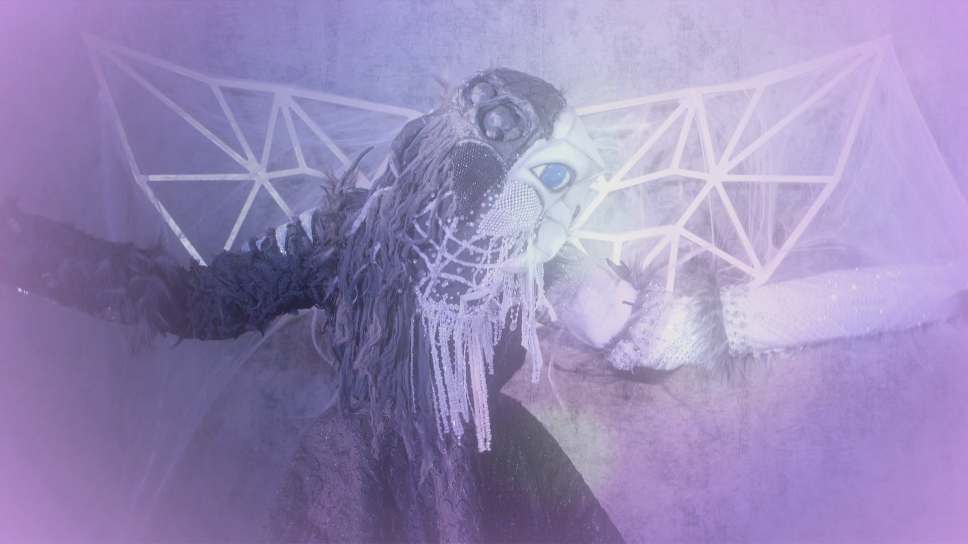 Video Hintergrund