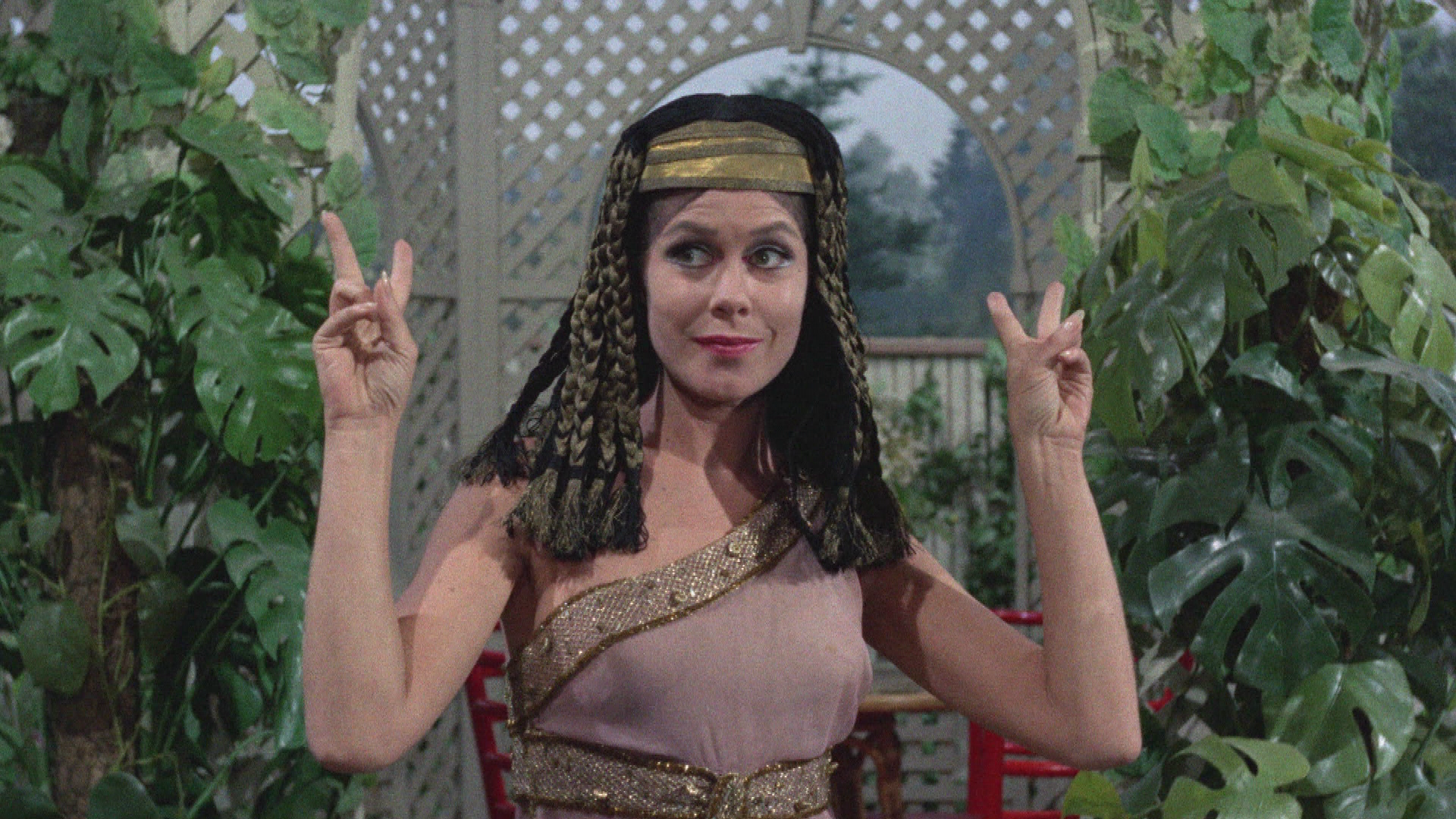 Neues von Serena (2)