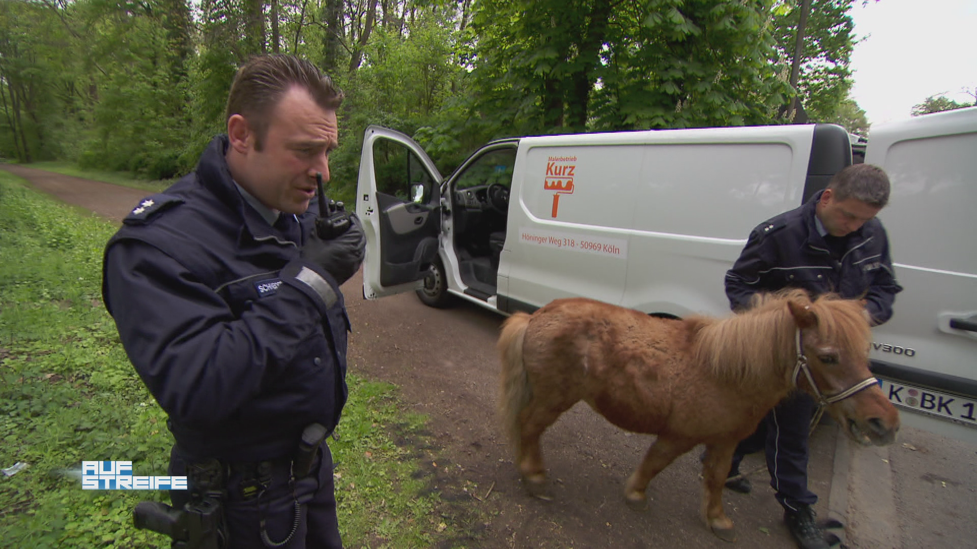 Der Baader-Ponyhof-Komplex