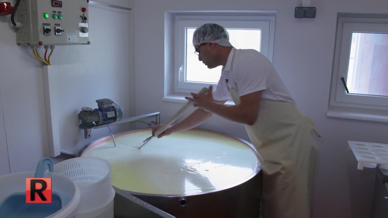 ATV Die Reportage - Käse - Ein Leben zwischen Lab und Löchern